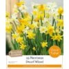 Narcissus 'Mixed Species' (25 Bulbs) -Webbs Direct Store 1083048