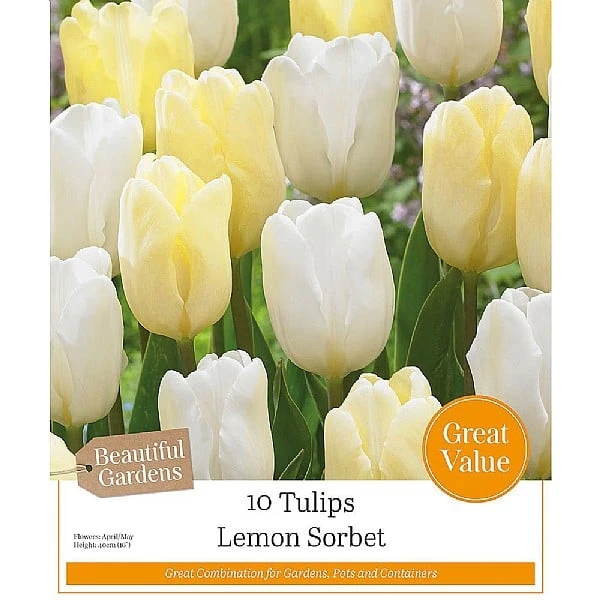 Lemon Sorbet Tulip Collection (10 Bulbs) 1 Lemon Sorbet Tulip Collection (10 Bulbs)
