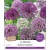 Bubble Garden Allium Collection (10 Bulbs) 2 Bubble Garden Allium Collection (10 Bulbs) -Webbs Direct Store 1083075