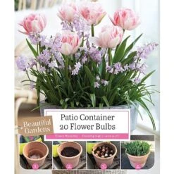 Patio Container Tulip & Chionodoxa Collection (20 Bulbs)