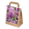 Violet Shades Assorted Tulips (30 Bulbs) -Webbs Direct Store 1119809