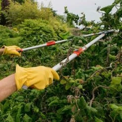 Wilkinson Sword Telescopic Anvil Loppers -Webbs Direct Store 1140386 1