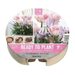 Tulip & Chionodoxa Ready To Plant Plant-O-Mat Tray 24cm (19 Bulbs)