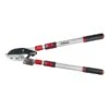 Darlac Telescopic Ratchet Lopper