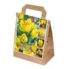 Tulipa Yellow Shades (Bag Of 30) -Webbs Direct Store 1212232
