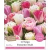 Romantic Blush Tulip Collection (10 Bulbs)