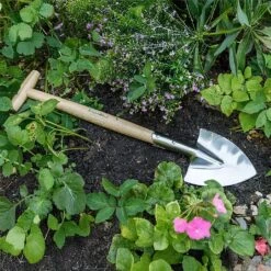 Burgon & Ball RHS Perennial Spade Small -Webbs Direct Store 1266454 9