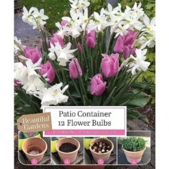 Patio Container Tulip & Narcissus Collection (12 Bulbs)