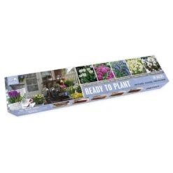 Galaxy Mix Ready To Plant Balcon-O-Mat (38 Bulbs)