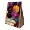 Warm Cutting Garden Bulbs Collection (25 Bulbs) -Webbs Direct Store 1282241