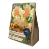 Layered Planter Bulbs Collection (20 Bulbs) 2 Layered Planter Bulbs Collection (20 Bulbs) -Webbs Direct Store 1282242