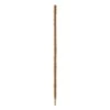 BetterGrow Coir Pole Bamboo (160cm) -Webbs Direct Store 1297196