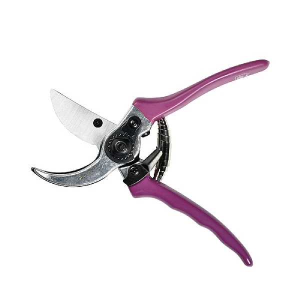 Burgon & Ball RHS Asteraceae Secateurs Gift Set 2 Burgon & Ball RHS Asteraceae Secateurs Gift Set - Image 2