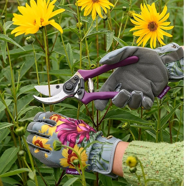 Burgon & Ball RHS Asteraceae Secateurs Gift Set 4 Burgon & Ball RHS Asteraceae Secateurs Gift Set - Image 4