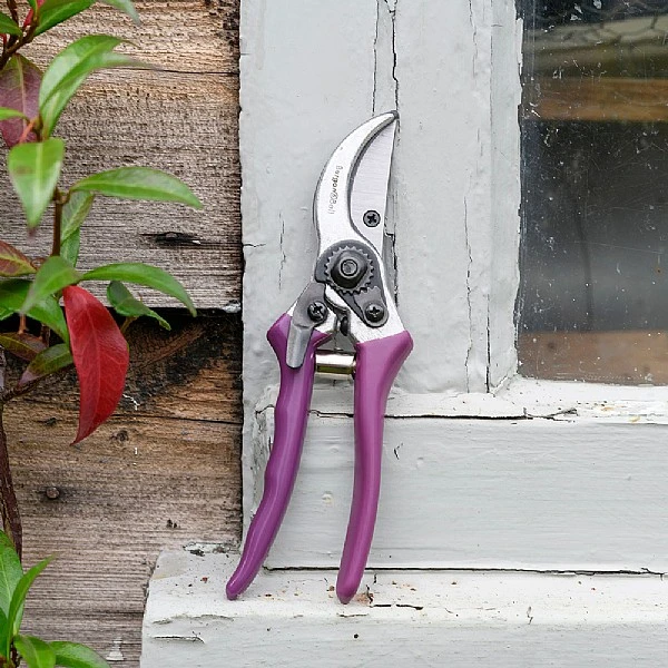 Burgon & Ball RHS Asteraceae Secateurs Gift Set 5 Burgon & Ball RHS Asteraceae Secateurs Gift Set - Image 5