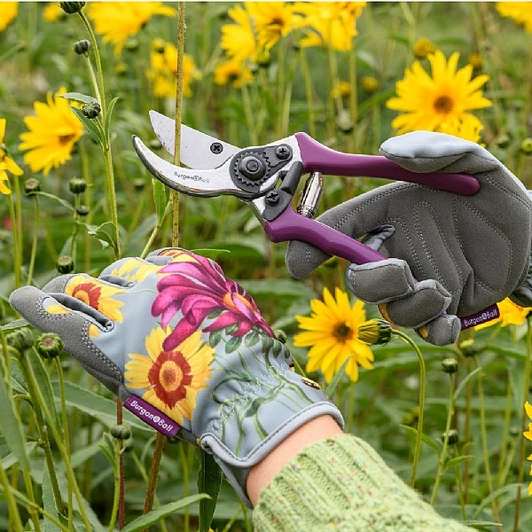 Burgon & Ball RHS Asteraceae Secateurs Gift Set 6 Burgon & Ball RHS Asteraceae Secateurs Gift Set - Image 6