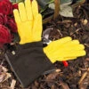 Gold Leaf Ladies Tough Touch Gloves 2 Gold Leaf Ladies Tough Touch Gloves -Webbs Direct Store 240107
