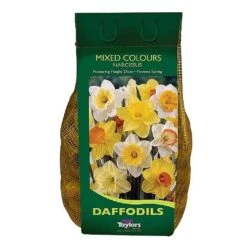 Narcissus 'Mixed' Carri-Pack 2kg