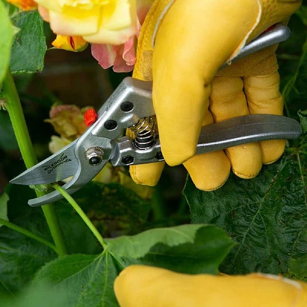 Wilkinson Sword Razorcut Comfort Medium Bypass Pruner 2 Wilkinson Sword Razorcut Comfort Medium Bypass Pruner - Image 2