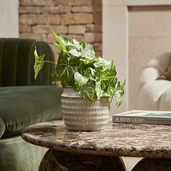 Woodlodge Ines Pot - Grey (Various Sizes) 3 Woodlodge Ines Pot - Grey (Various Sizes) - Image 3