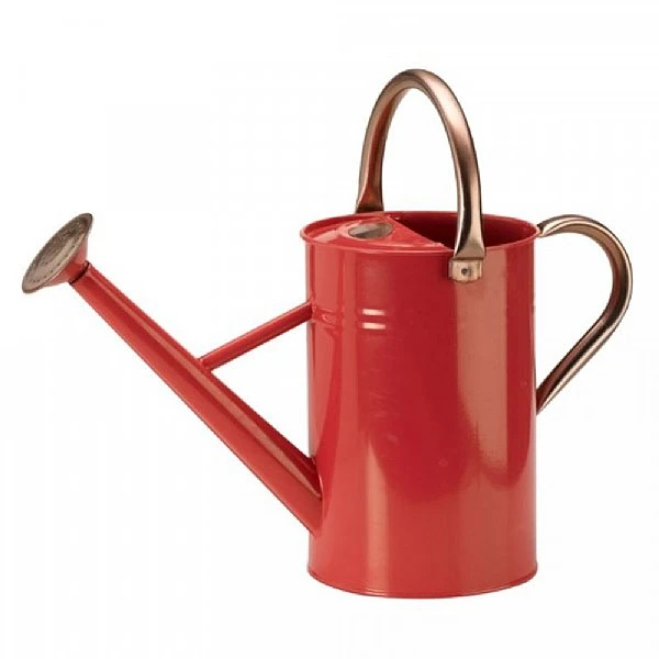 Smart Garden 4.5L Galvanised Steel Watering Can - Various Colours 5 Smart Garden 4.5L Galvanised Steel Watering Can - Various Colours - Image 5