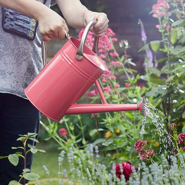 Smart Garden 4.5L Galvanised Steel Watering Can - Various Colours 7 Smart Garden 4.5L Galvanised Steel Watering Can - Various Colours - Image 7
