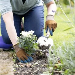 Town & Country Eco Flex Pro Orange (Various Sizes) 7 Town & Country Eco Flex Pro Orange (Various Sizes) -Webbs Direct Store TCEFPROR 4